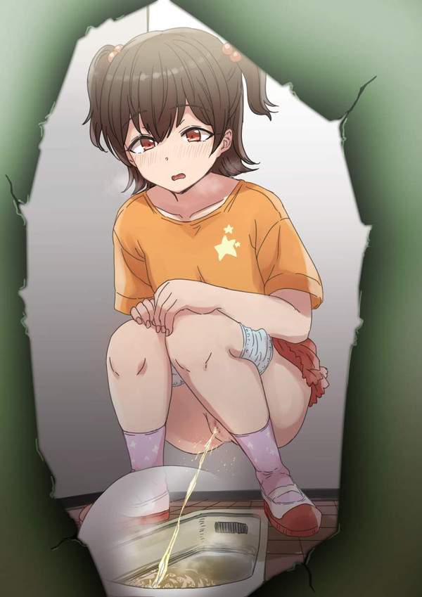 【世界反サイバー検閲デー】オシッコ姿を盗撮されてる女子達の二次エロ画像【7枚目】