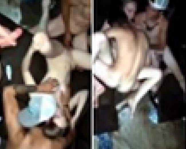 オススメネタ紹介