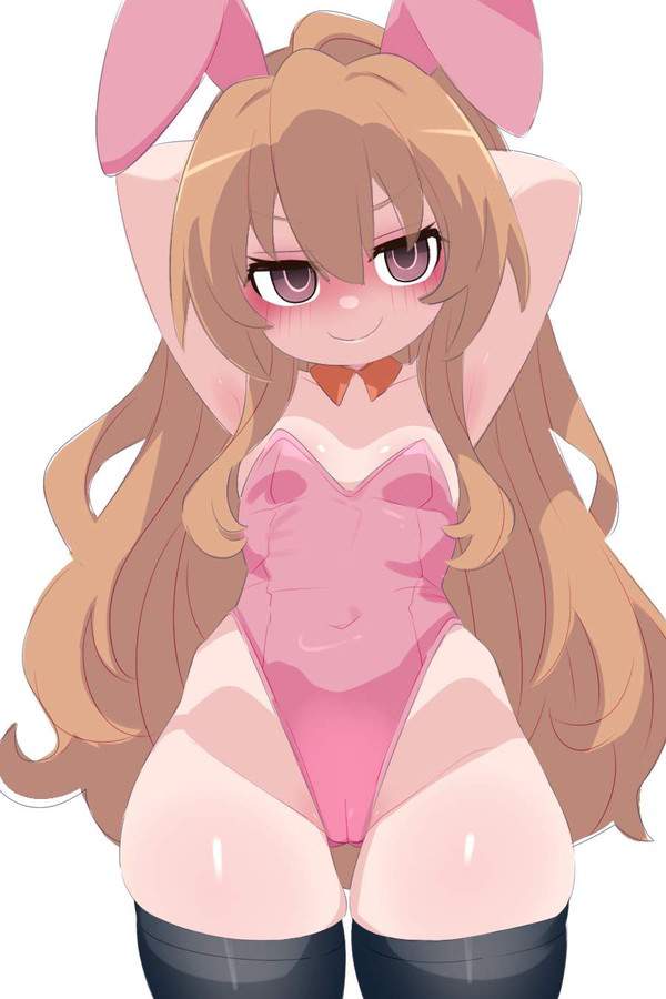 【オレンジデー】とらドラ!のエロ画像【8枚目】