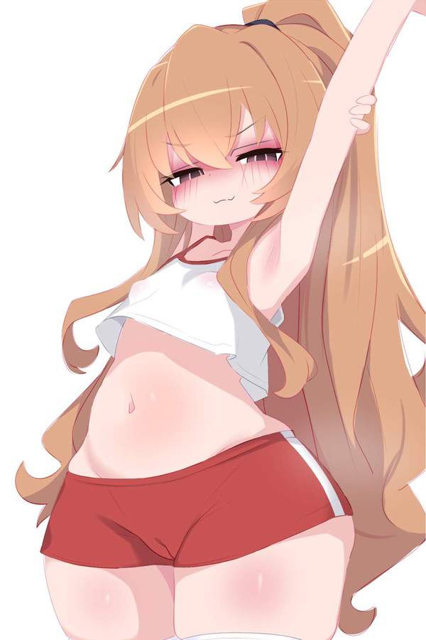 【オレンジデー】とらドラ!のエロ画像【11枚目】