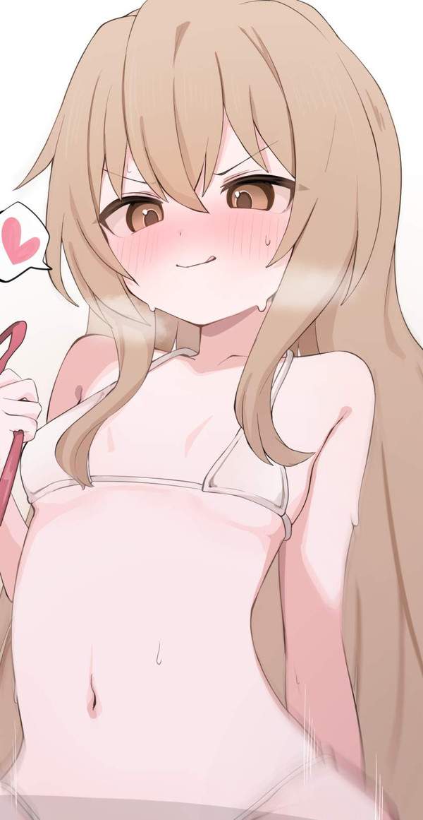 【オレンジデー】とらドラ!のエロ画像【14枚目】