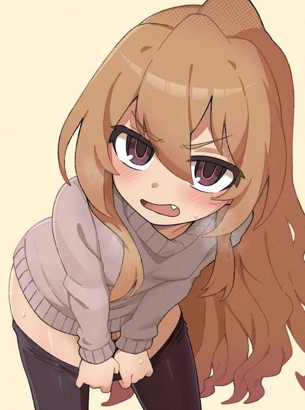 【オレンジデー】とらドラ!のエロ画像【15枚目】