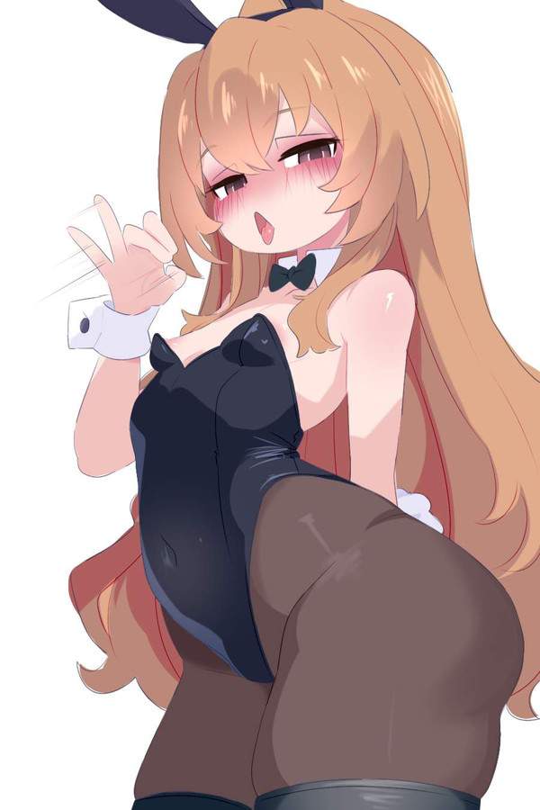 【オレンジデー】とらドラ!のエロ画像【24枚目】