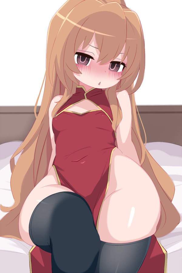 【オレンジデー】とらドラ!のエロ画像【33枚目】