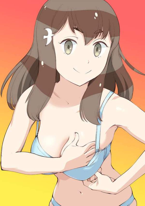 【盛りすぎチャレンジ】ブラに手を入れておっぱいを寄せてる女子達の二次エロ画像【19枚目】