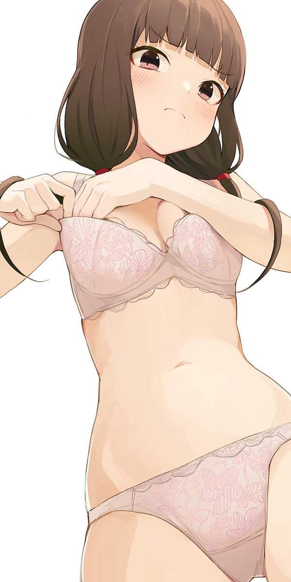 【盛りすぎチャレンジ】ブラに手を入れておっぱいを寄せてる女子達の二次エロ画像【25枚目】