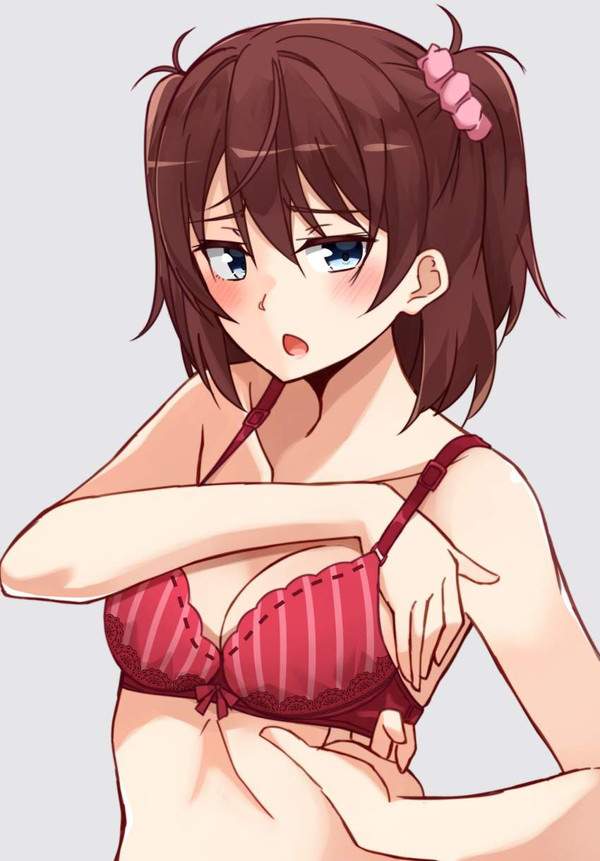 【盛りすぎチャレンジ】ブラに手を入れておっぱいを寄せてる女子達の二次エロ画像【37枚目】