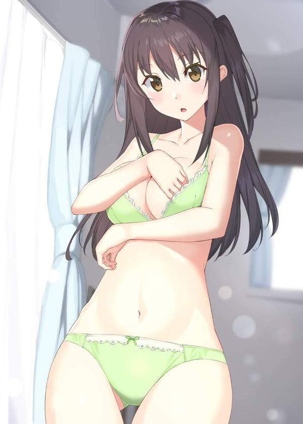 【盛りすぎチャレンジ】ブラに手を入れておっぱいを寄せてる女子達の二次エロ画像【39枚目】