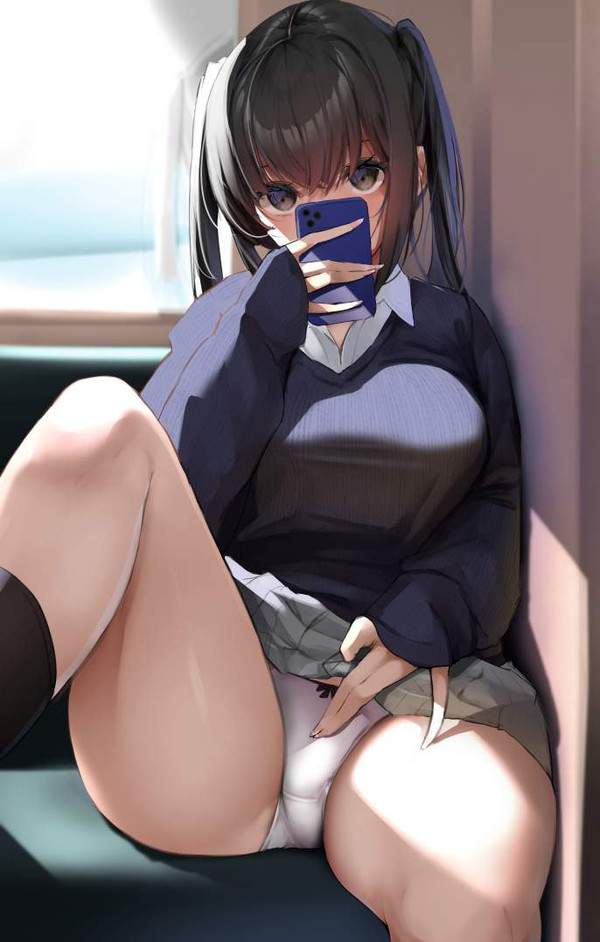 【パン鉄】電車で向かいの席の女の子がわざとパンツ見せてきた二次エロ画像【4枚目】