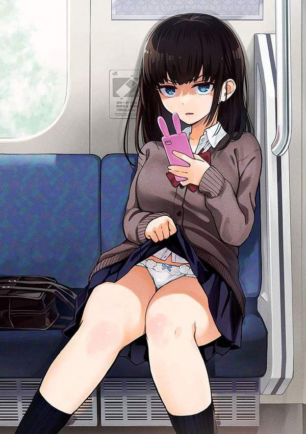【パン鉄】電車で向かいの席の女の子がわざとパンツ見せてきた二次エロ画像【23枚目】