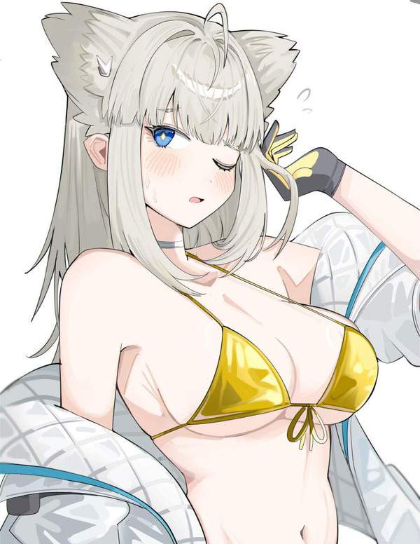【アークナイツ：エンドフィールド】ペリカのエロ画像【36枚目】