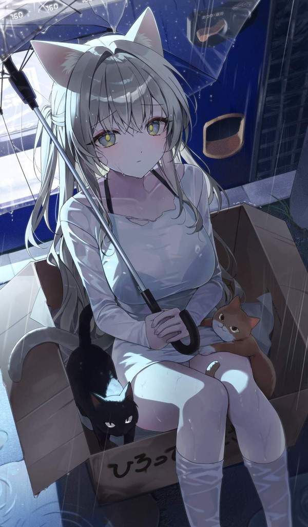 【ラッキーゾーンの日】座りパンチラの二次エロ画像【23枚目】