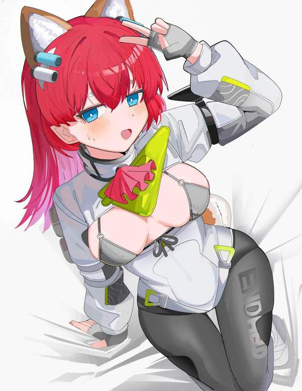 【アークナイツ：エンドフィールド】アケクリのエロ画像【7枚目】