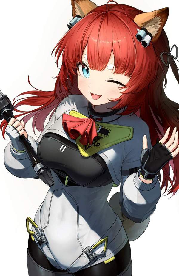 【アークナイツ：エンドフィールド】アケクリのエロ画像【22枚目】