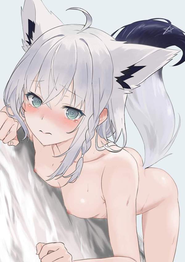 【全裸】「へぇ...これがケモ耳女子の肉体かぁ...」な二次エロ画像【15枚目】