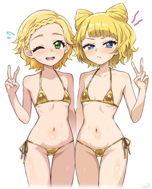 【零細・中小企業デー】貧乳マイクロビキニの二次エロ画像【6枚目】