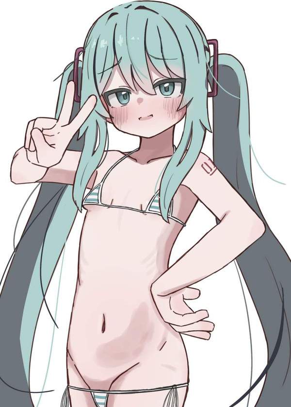 【零細・中小企業デー】貧乳マイクロビキニの二次エロ画像【17枚目】