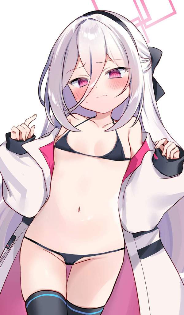 【零細・中小企業デー】貧乳マイクロビキニの二次エロ画像【23枚目】