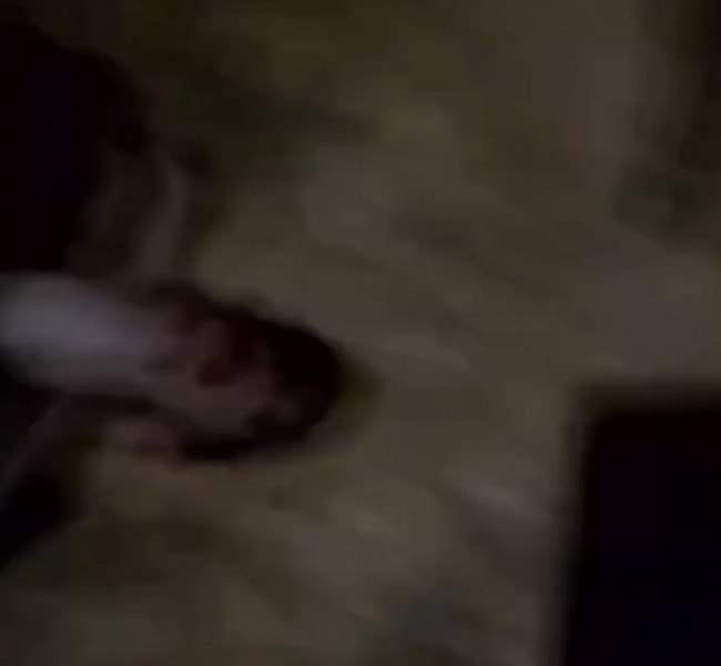 オススメネタ紹介