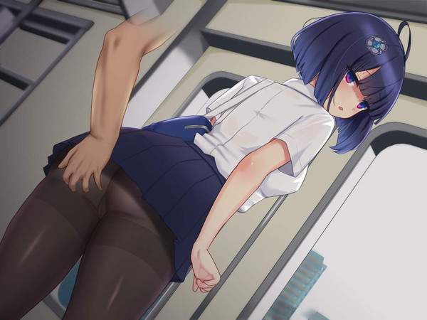 【中元】電車内で痴漢されてる女子達の二次エロ画像【31枚目】