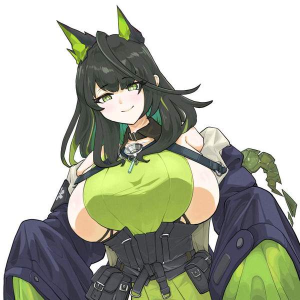 【アークナイツ】モンスターのエロ画像【29枚目】