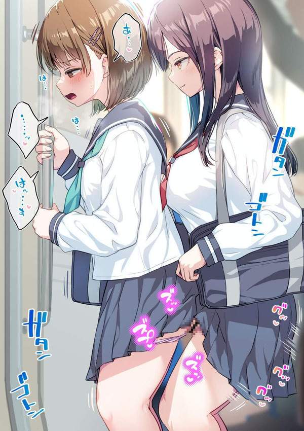 【都内だと普通(大嘘)】電車内セックスしてる二次エロ画像【34枚目】